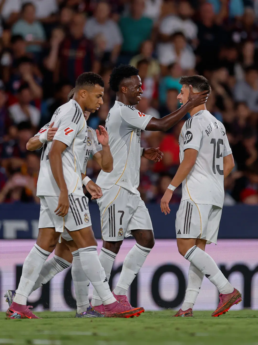 染红, entit, 断造险 染红, entit, 断造险