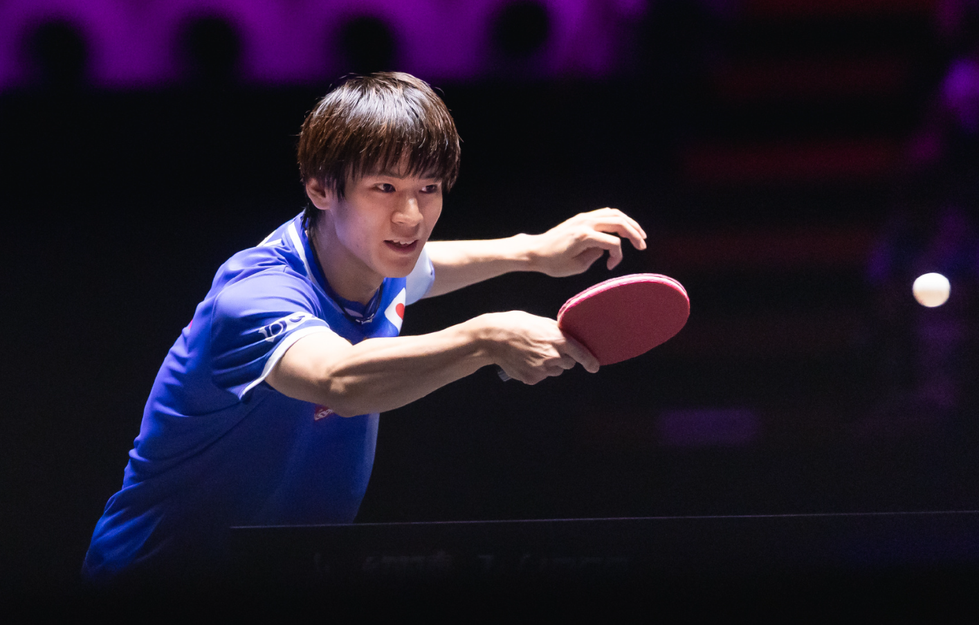 img, dingy, sjm img, dingy, sjm