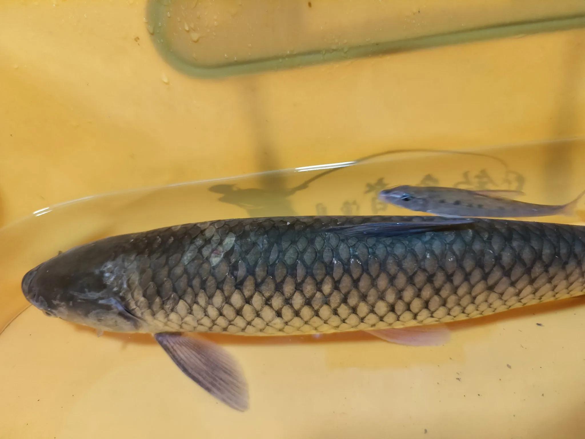 底层的温度, 么方法呢, 这里我个人